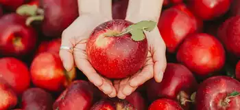 Ekstrakt z jabłek - superfood dla skóry