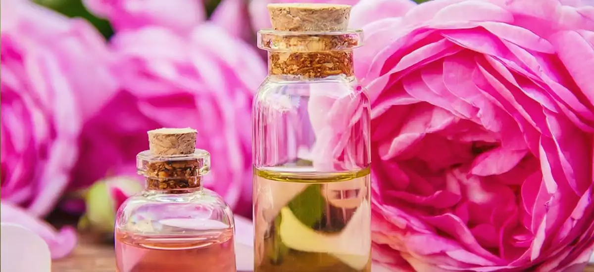 Jak działa olejek różany?